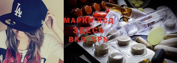 стафф Алзамай