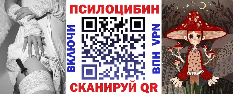 mega вход  магазин продажи   Сенгилей  Псилоцибиновые грибы мухоморы 