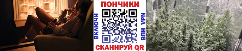 даркнет сайт  Сенгилей  МАРИХУАНА ГИДРОПОН 